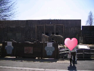 IMGP004300010001.jpg