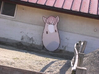IMGP008700010001.jpg