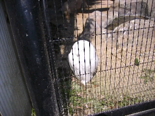 IMGP007500010001.jpg