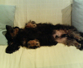 20060731_202089.jpg