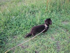 20060907_218084.jpg