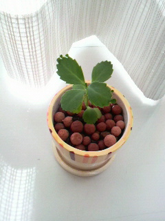 2010061614190000.jpg