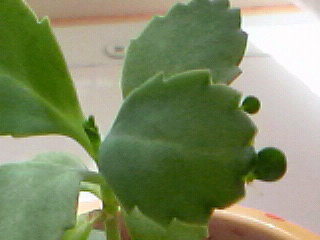 2010061614210000.jpg