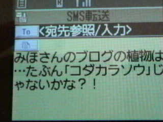 2010061618120000.jpg