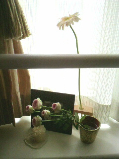 2011093012460000.jpg