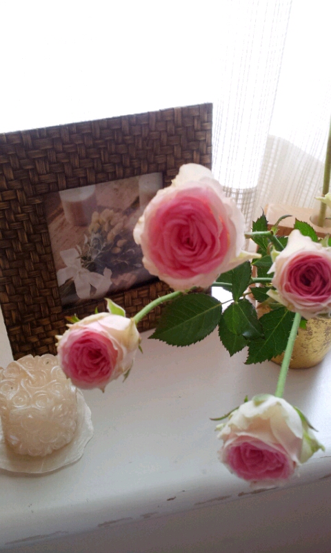 2011-10-02 12.40.41.jpg