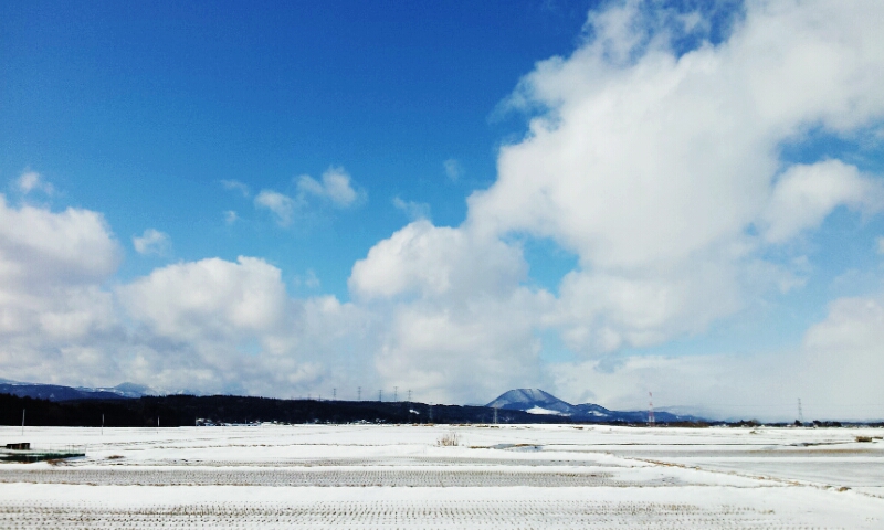 2012-01-03 11.09.40.jpg