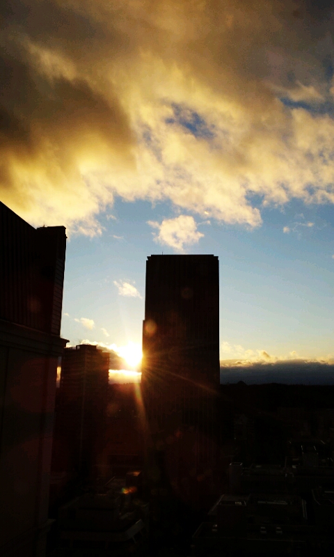 2011-12-11 15.52.32.jpg