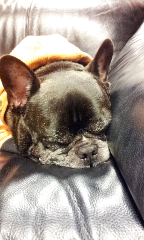2011-11-28 19.41.46.jpg