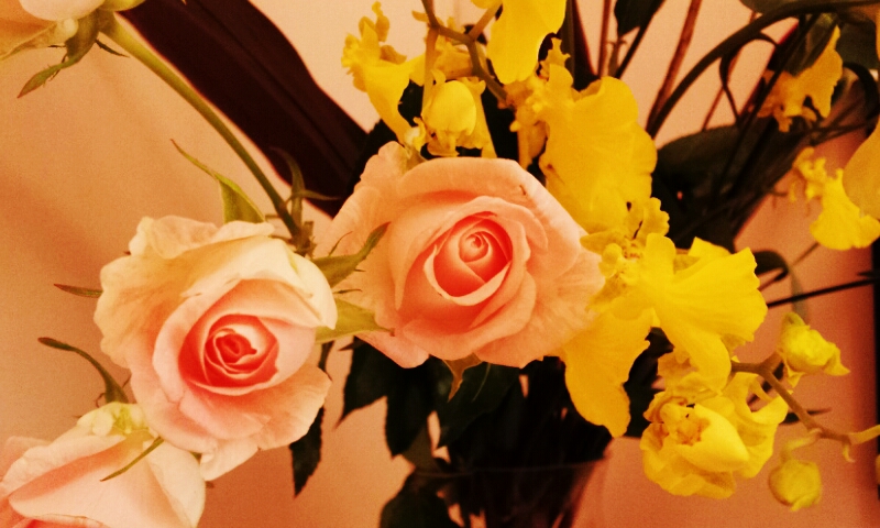 2012-01-30 11.11.28.jpg