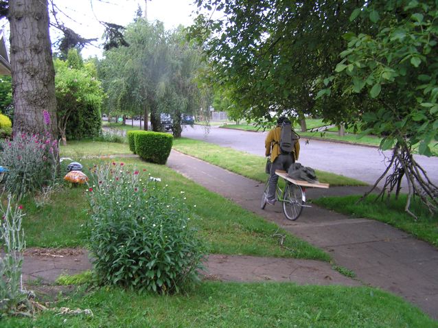 P2280050.jpg