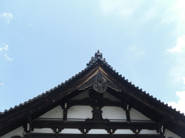 SAM_3290.jpg
