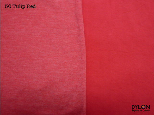 Tulip Red