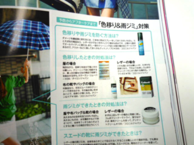 ダイロン 掲載誌