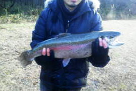 ルアーで釣れた70cmヤシオマス