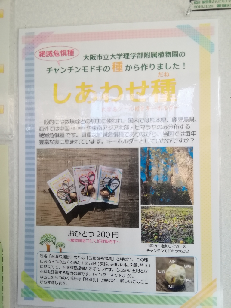 しあわせだね？ | きさいち植物園ファンクラブ