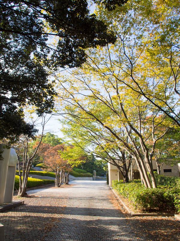 美術館の庭