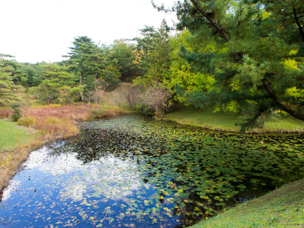 モリコロパークの庭園1