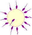 ¼õÀº¤ÎÍÍ»Ò