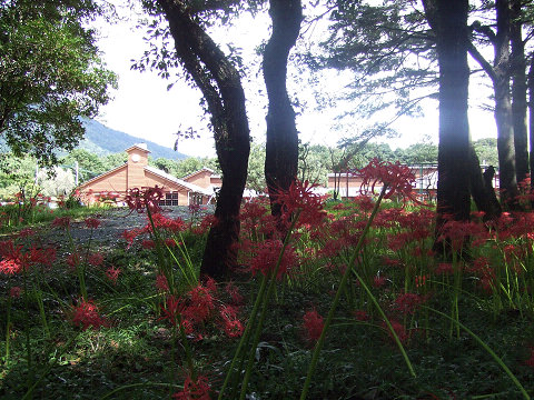 御池小学校