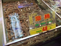 海腸
