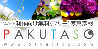 ぱたくそ.jpg