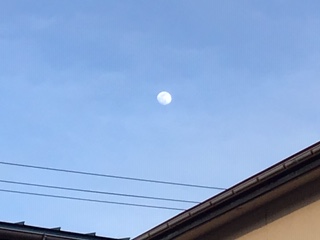 image0.jpeg