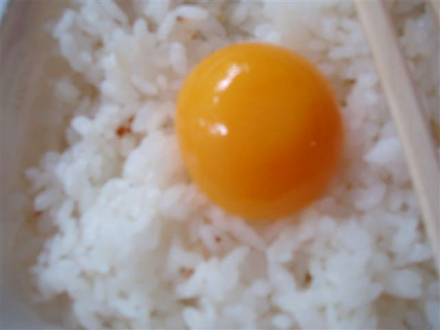 ごはんP8260105.JPG