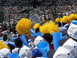 RIMG0230.jpg