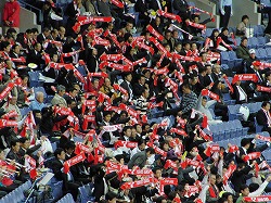 CIMG3154.jpg