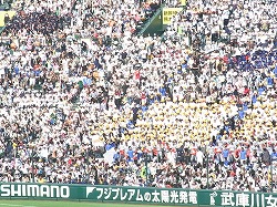 20100814_985965.jpg