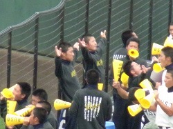107.jpg