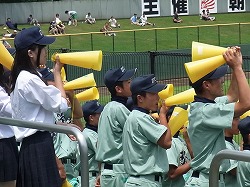 162.jpg