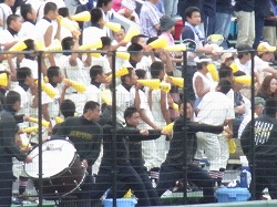 194.jpg