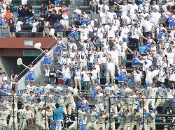 450.jpg