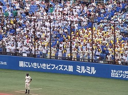 RIMG0704.jpg
