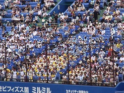 RIMG0854.jpg