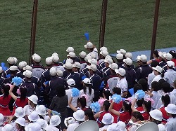 RIMG0942.jpg