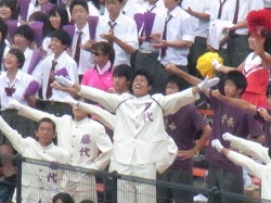 031.jpg