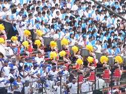 128.jpg