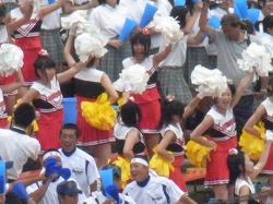 193.jpg