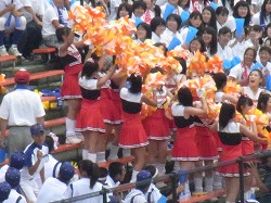 297.jpg