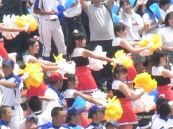 153.jpg