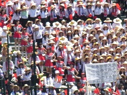285.jpg