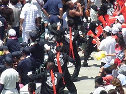 346.jpg
