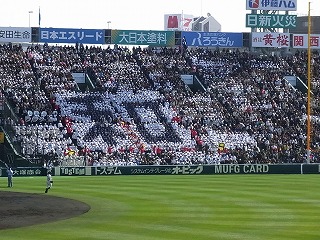 RIMG0061.jpg