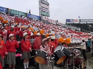 RIMG0452.jpg