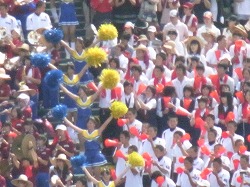 200.jpg