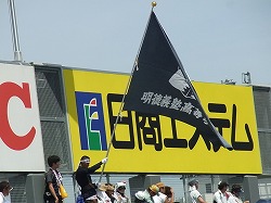 213.jpg