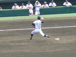 229.jpg